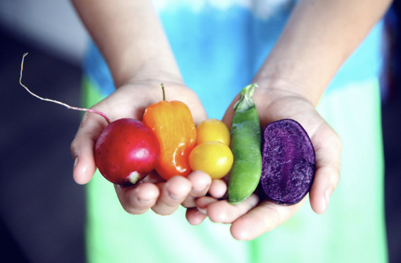 Food, Nutrition & Diet